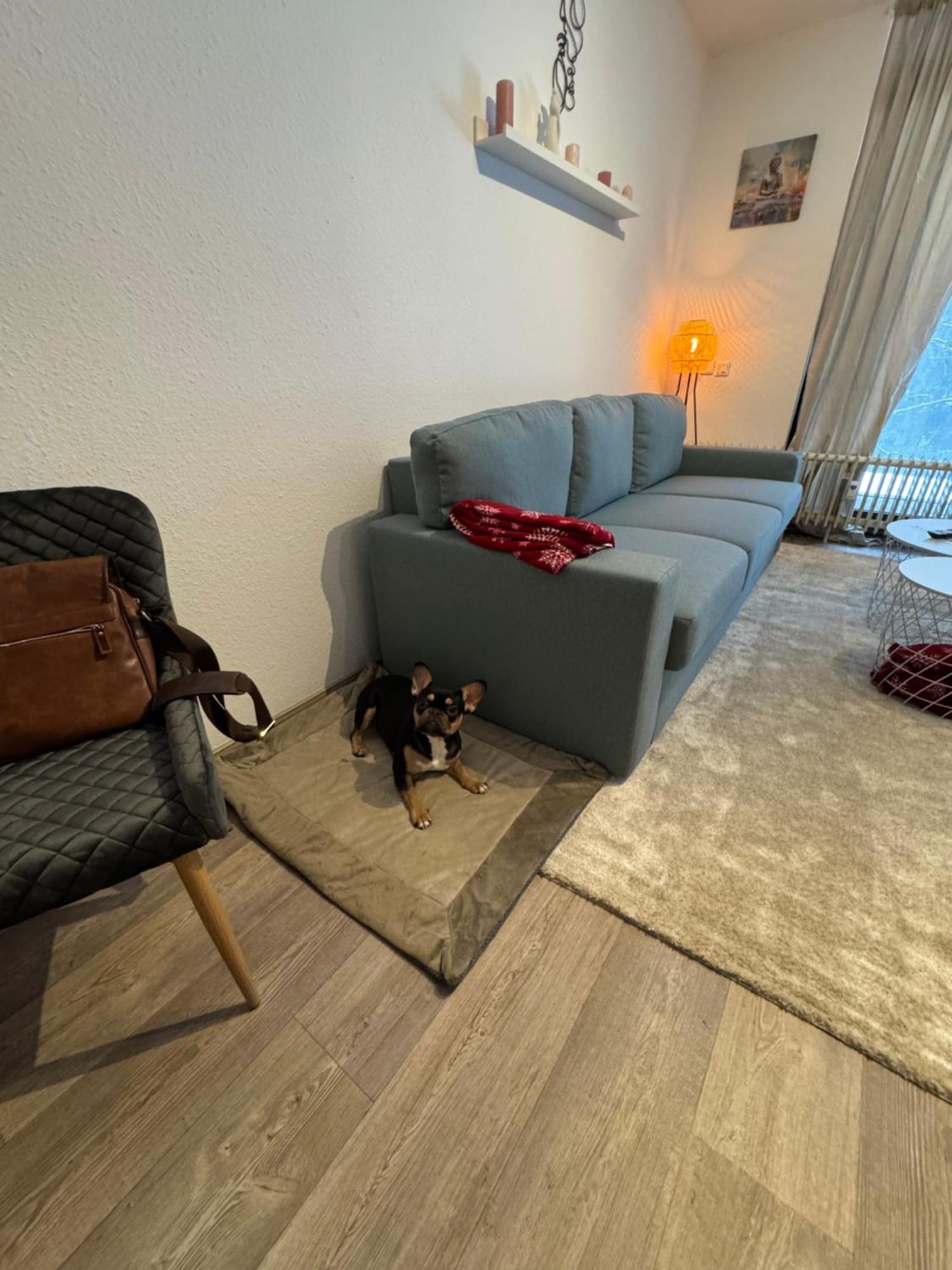 Apartment Maja Unmittelbar An Der Skipiste Winterberg Luaran gambar